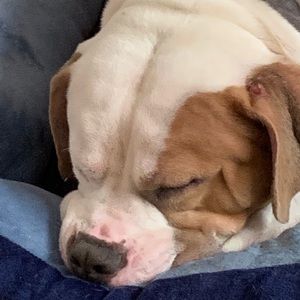 Meet your Posher, Drew